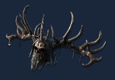 Head of the King