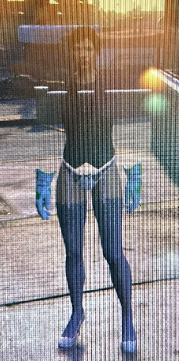 INVISIBLE OUTFITS x5 Quantity PS4 / PS5 - Image 4