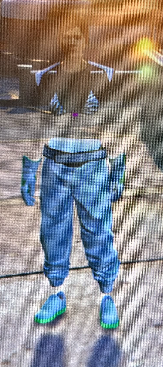 INVISIBLE OUTFITS x5 Quantity PS4 / PS5