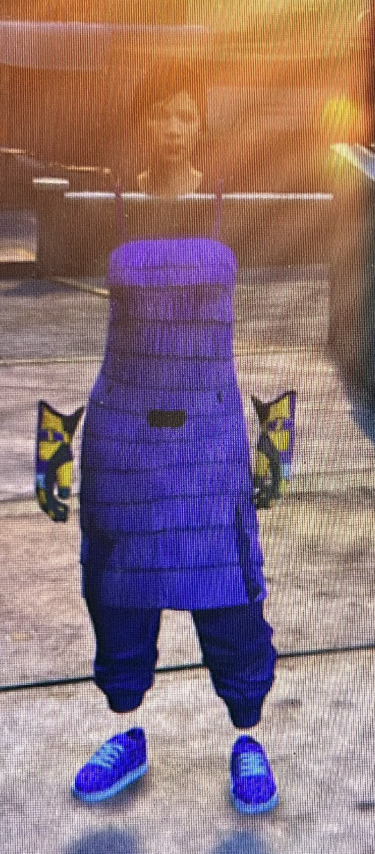 INVISIBLE OUTFITS x5 Quantity PS4 / PS5 - Image 2